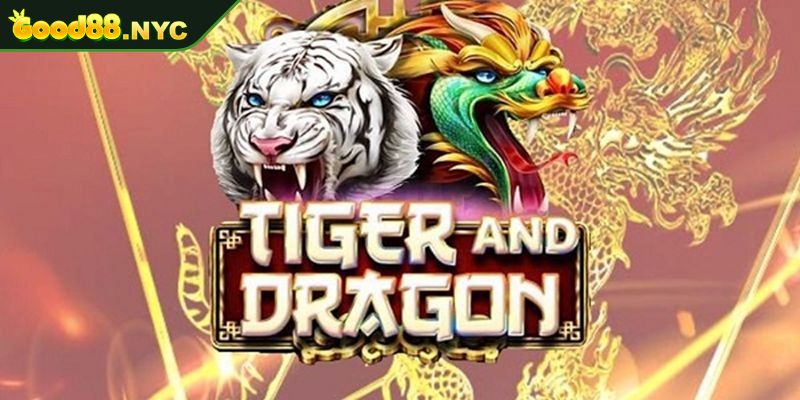Cách Chơi Rồng Hổ Good88 Chi Tiết Giúp Bạn Thắng Lớn 3 Cách chơi Rồng Hổ GOOD88 Quản lý vốn hiệu quả